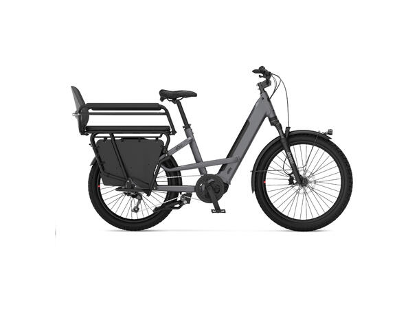 Benno 46er 10D CX500 PowerTube Anthracite Gray, EVO 2 