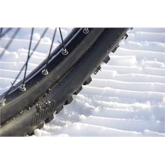 Benno 46er Winter Wheel Setup 46er, EVO 1+