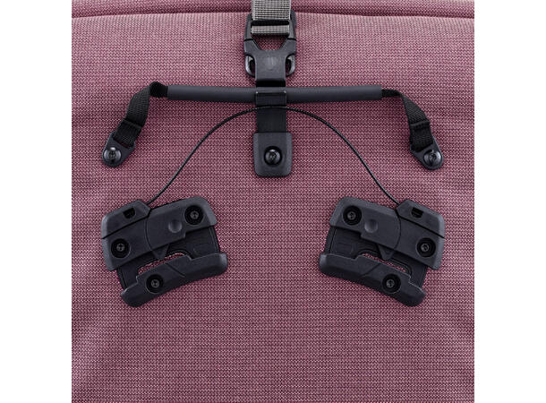 Ortlieb Back-Roller Urban ash rose,  20 L, QL3.1 