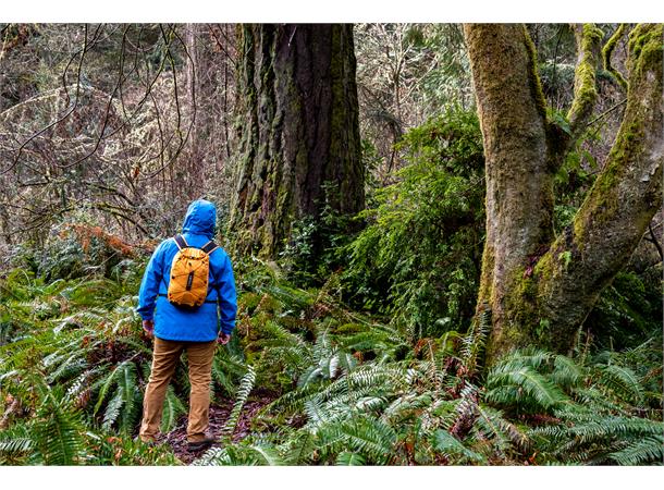 Exped Cloudburst 15 gold 15 l 